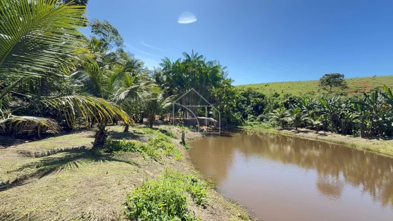 Imagem Sítio com Casa à venda, 100.614,00 m², Timbuí - Fundão/ES