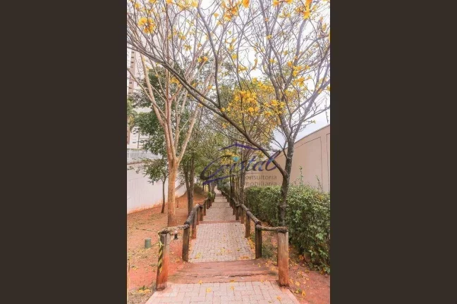 Imagem Apartamento com 3 dormitórios à venda, 105 m² por R$ 1.010.000,00 - Butantã - São Paulo/SP