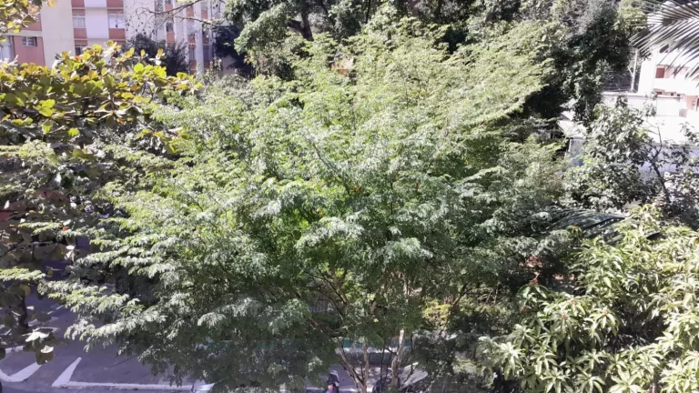 Imagem Apartamento com 1 dormitório na Bela Vista - Rua Rocha