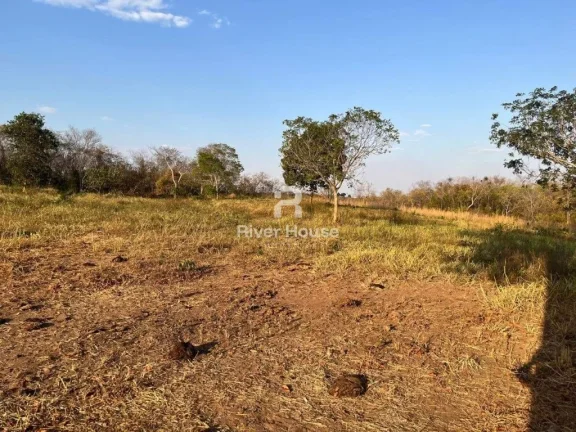 Imagem Fazenda à venda sendo 234 Hectares para Pecuaria , na Região Faval, Nossa Senhora do Livramento, MT