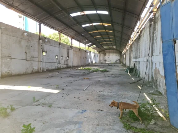 Imagem Galpão para Venda em Rio de Janeiro, Caju, 5 banheiros, 99 vagas