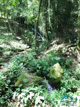 Imagem Deslumbrante Área Rural – Beleza Natural e Infraestrutura Pronta!