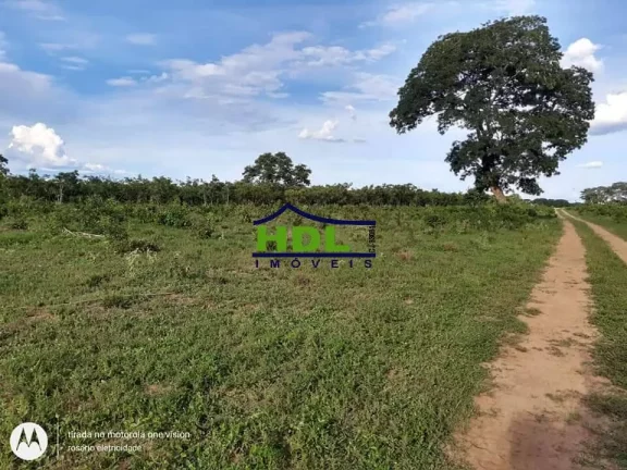 Imagem Fazenda 318 Alqs Barranca do Rio Araguaia em Araguaiana/MT