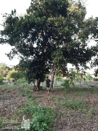Imagem TERRENO A VENDA NO CENTRO