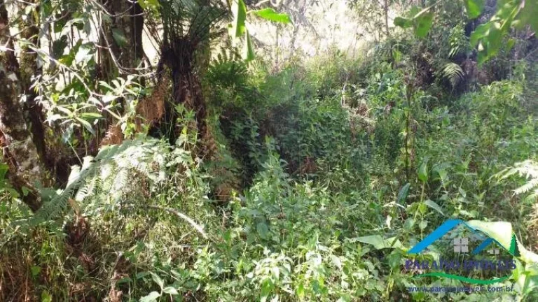 Imagem Paraíso para amantes da natureza: Terreno com cachoeira em Gonçalves!