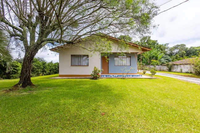Imagem Chácara no Cercadinho Campo Largo 11.216m²