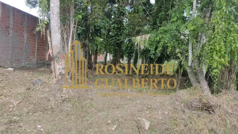 Imagem Terreno à Venda – 490 m² - Bairro Gaivotas – Caraguatatuba/SP