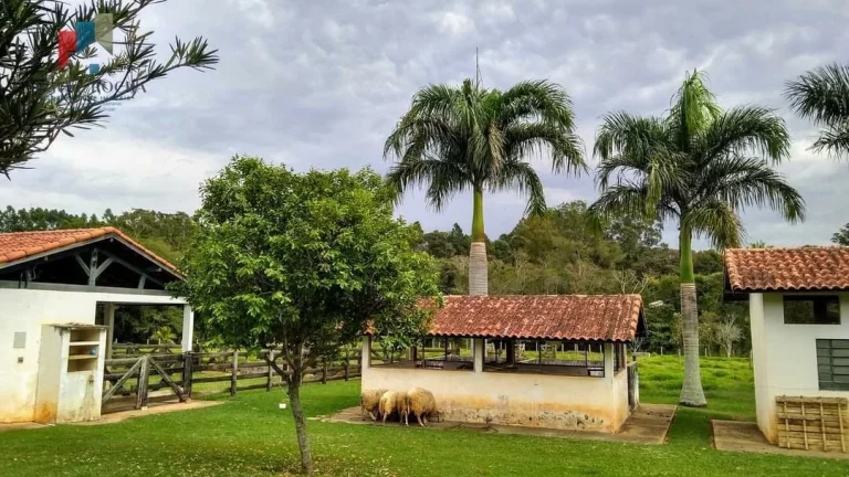 Imagem Sítio à venda no bairro santa adelaide - Tatuí/SP