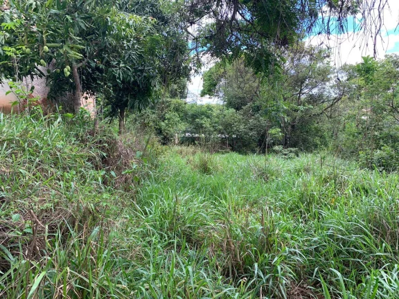 Imagem LOTE Á VENDA , EM JUATUBA!