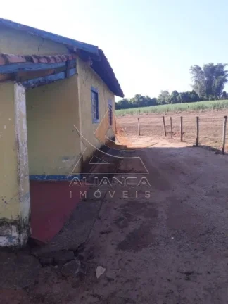 Imagem Fazenda - Cajuru - Zona Rural