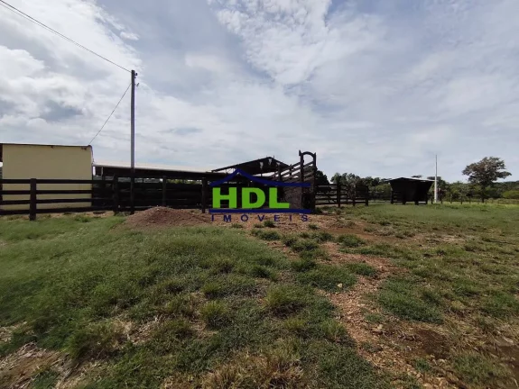 Imagem Chácara com 5 alqs Rica em Água 115 kms de Goiânia