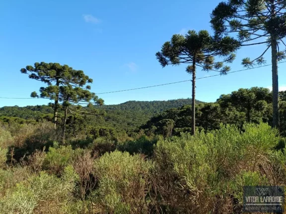 Imagem Fazenda de 34 hectares - São Joaquim/SC, Serra Catarinense