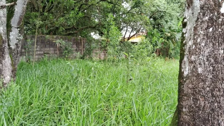 Imagem Terreno à venda, 1100 m² por R$ 170.000,00 - Chácaras Santa Maria - Jacareí/SP