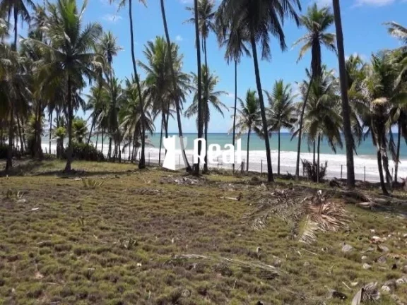 Imagem Terreno Pé na Areia