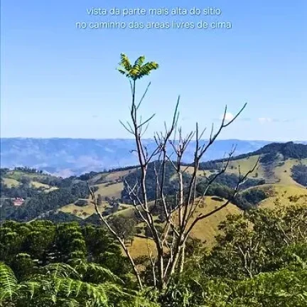 Imagem Um refúgio vivo na Mantiqueira. Natureza, consciência e liberdade.
