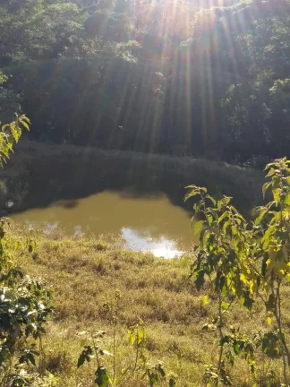 Imagem Sítio Encantador em Itapetininga - SP!