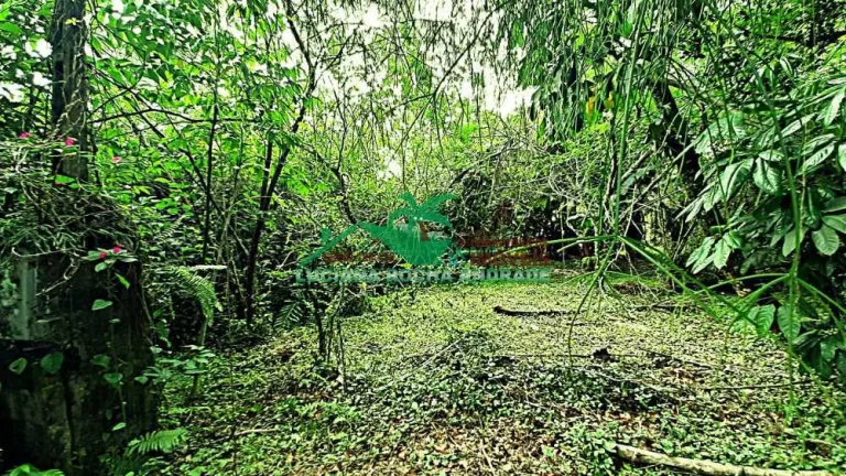 Imagem Terreno Padrão
