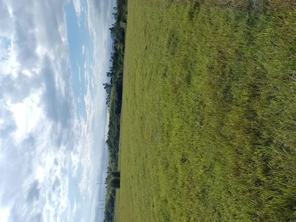 Imagem Propriedade no Rodovia Mario Covas no município de Carapebus BR101