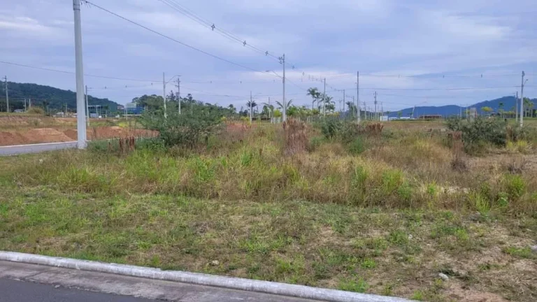 Imagem Terrenos com Viabilidade Multifamiliar – Norte da Ilha