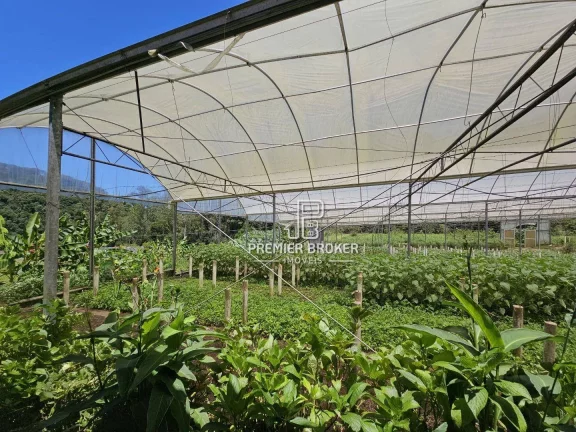 Imagem Sítio à venda, 338800 m² por R$ 2.600.000,00 - Ponte Nova - Teresópolis/RJ