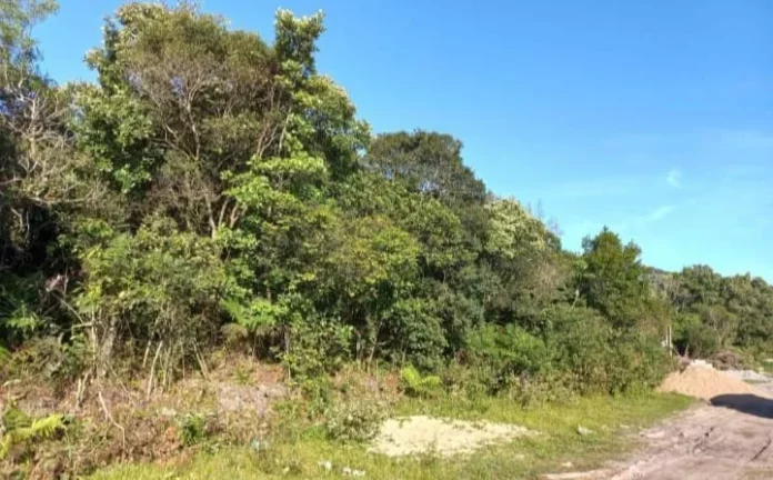 Imagem Terreno, Jardim Maramba II, Itanhaém - R$ 38 mil, Cod: 2355