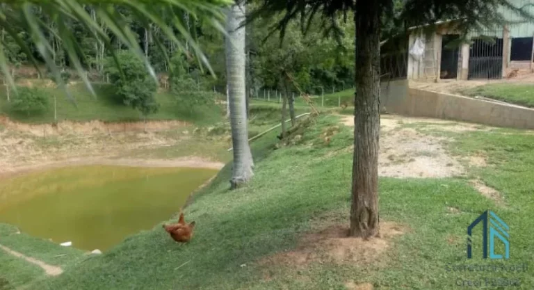 Imagem Chácara poucos metros da BR 116, 04 tanques de peixes, 03 casas, nascentes, Areia Branca dos Assis - Mandirituba PR