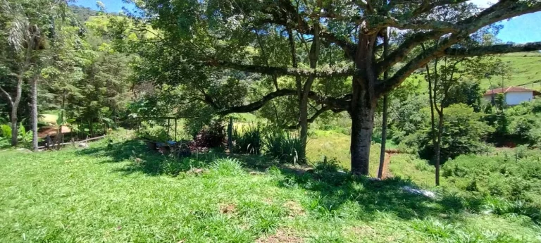 Imagem CHACARA 12.000 MTS - BAIRRO ANHUMAS - ITAJUBÁ - MG