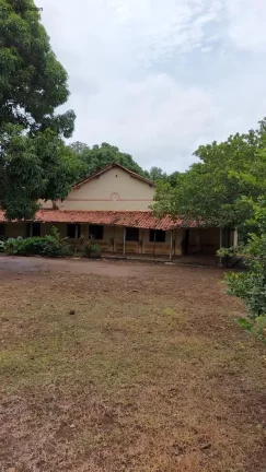 Imagem SITIO RURAL em NAZÁRIA - PI, POVOADO LAGOA DA CRUZ
