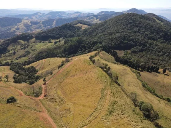 Imagem Fazenda à Venda, 4.463.400 m² em Zona Rural - Maria Da Fé