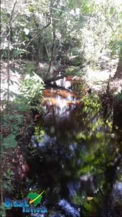 Imagem LINDA ÁREA EM CABRÁLIA