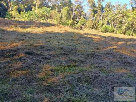 Imagem Terreno para Venda em São José dos Pinhais, Campestre da Faxina