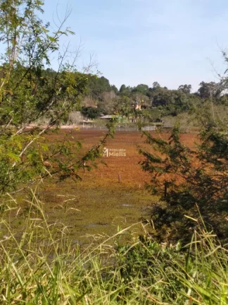 Imagem Terreno com 3 Dormitorio(s) localizado(a) no bairro Águas Claras em Viamão / Rio Grande do Sul Ref.:57580594