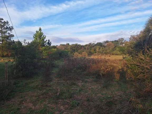 Imagem Terreno à Venda – Morro Grande, Águas Claras – Viamão/RS