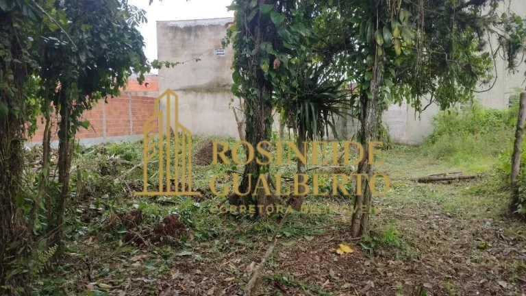 Imagem Terreno à Venda – 490 m² - Bairro Gaivotas – Caraguatatuba/SP