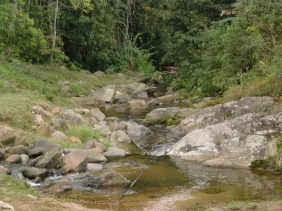 Imagem Sitio com 180.000 m², com 2 lagoas em Camboriú/SC