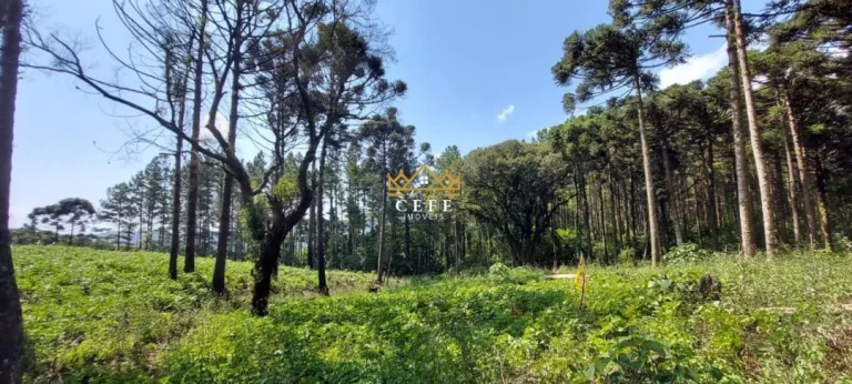 Imagem Chácara - Sítio com 2 Dormitorio(s) localizado(a) no bairro Samambaia em São Francisco de Paula / RIO GRANDE DO SUL Ref.:1542