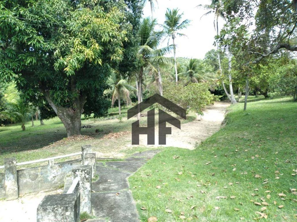 Imagem Chácara com 3 Quartos à Venda, 25.000 m² em Cruz De Rebouças - Igarassu