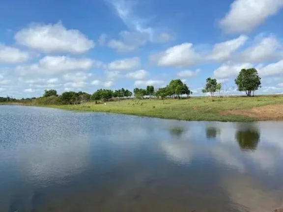 Imagem Vendo esta fazenda em Santiago do Norte. Mato Grosso.