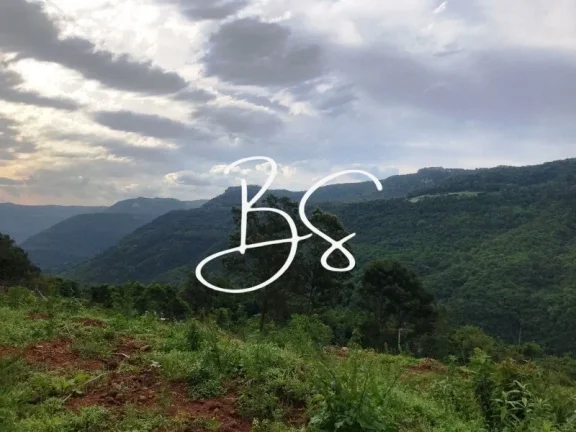 Imagem SITIO RURAL em NOVA PETRÓPOLIS - RS, Linha Pirajá Baixa