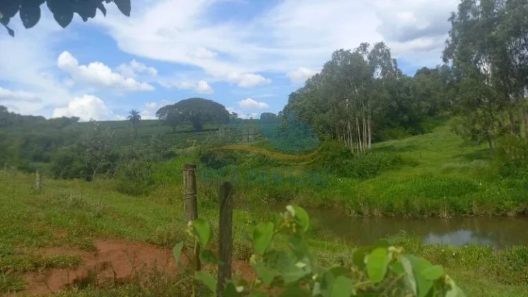 Imagem Rancho - Santo Antônio da Alegria - Poção