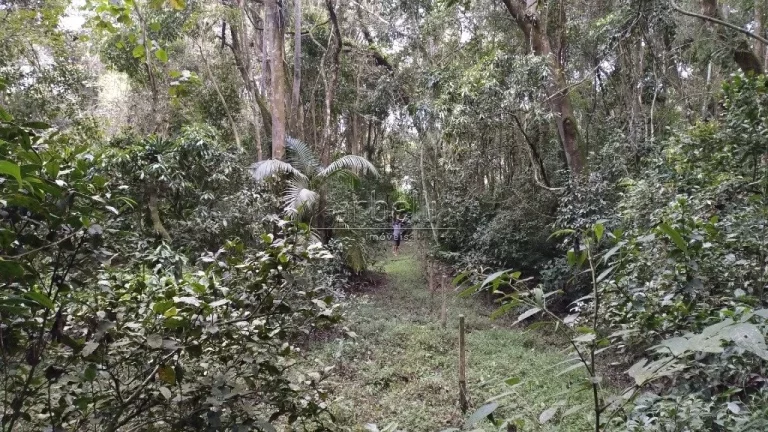 Imagem Descubra um verdadeiro Oasis próximo a Capital Paulista num terreno exclusivo medindo 38.320m². Lo...