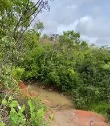 Imagem Fazenda à venda em Presidente Olegário – 58 hectares planos, mecanizáveis e com água