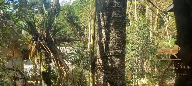 Imagem Chalés/Cabanas para Locação Anual em Campos do Jordão – Região do Chantal