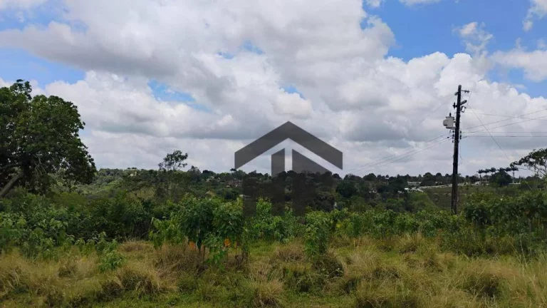 Imagem Terreno à Venda, 5.000 m² em Centro - Paudalho