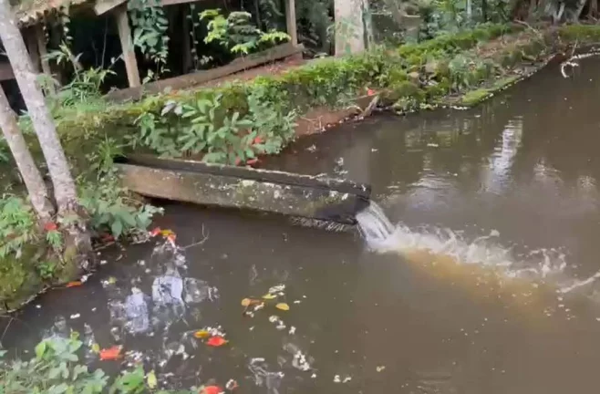 Imagem Um Refúgio dos Sonhos Esperando por Você