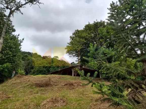 Imagem Fazenda à Venda, 90 m² em Barra Avencal - Rio Dos Cedros