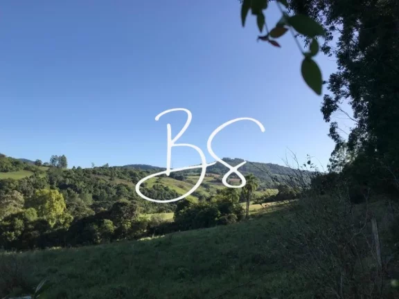 Imagem AREA RURAL em SANTO ANTÔNIO DA PATRULHA - RS, Pinheirinhos
