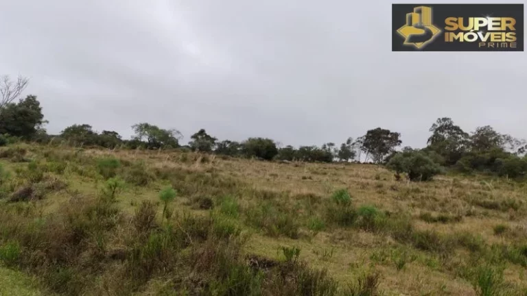 Imagem Fazenda para Venda em Centro Canguçu-RS - 2055