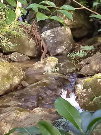 Imagem Sítio à Venda em Itariri, SP