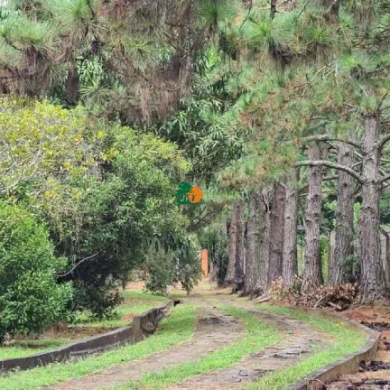 Imagem Chácara para Venda em São Roque, Centro (canguera), 3 dormitórios, 2 suítes, 1 banheiro